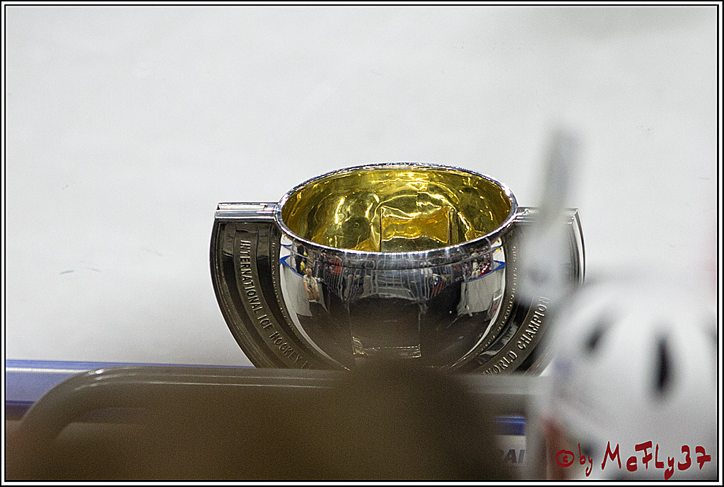 IIHF WM 2017, Kanada - Schweden, 21.05.2017